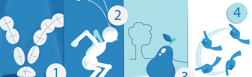 Grasping the Core Principles of Animation