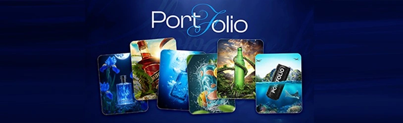 Building Your Portfolio
