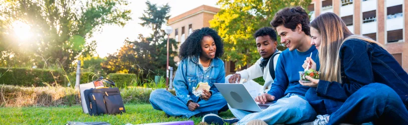 Why Is Placement Assistance Important for Students